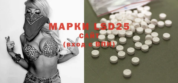 ГАЛЛЮЦИНОГЕННЫЕ ГРИБЫ Белоозёрский