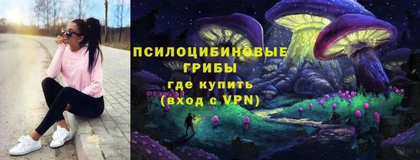 ГАЛЛЮЦИНОГЕННЫЕ ГРИБЫ Белоозёрский