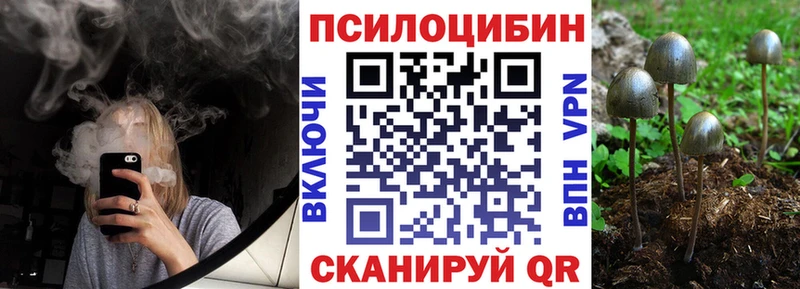 Галлюциногенные грибы Psilocybe  блэк спрут рабочий сайт  Пыть-Ях 